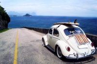 VW_Volkswagen_Volksrods_Bugs_and_Beetles_1105
