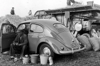 VW_Volkswagen_Volksrods_Bugs_and_Beetles_1110
