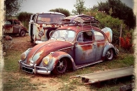 VW_Volkswagen_Volksrods_Bugs_and_Beetles_1126