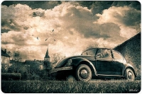 VW_Volkswagen_Volksrods_Bugs_and_Beetles_1138