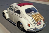 VW_Volkswagen_Volksrods_Bugs_and_Beetles_1155