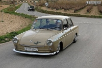VW_Volkswagen_Volksrods_Bugs_and_Beetles_1221