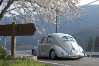 VW_Volkswagen_Volksrods_Bugs_and_Beetles_1223