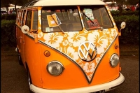 VW_Volkswagen_Volksrods_Bugs_and_Beetles_1242