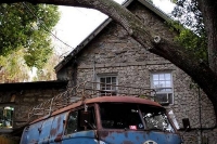 VW_Volkswagen_Volksrods_Bugs_and_Beetles_1277