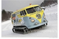 VW_Volkswagen_Volksrods_Bugs_and_Beetles_1280