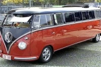 VW_Volkswagen_Volksrods_Bugs_and_Beetles_1283