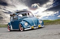 VW_Volkswagen_Volksrods_Bugs_and_Beetles_1284