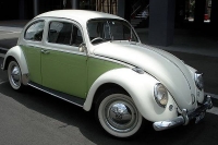 VW_Volkswagen_Volksrods_Bugs_and_Beetles_1290