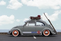 VW_Volkswagen_Volksrods_Bugs_and_Beetles_1294