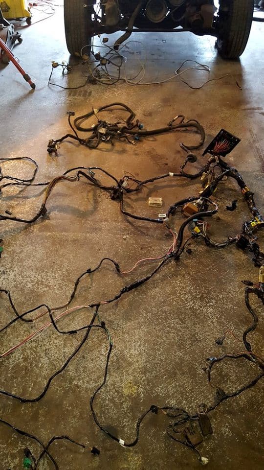 Donor Wiring Harness