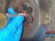 How To Remove a Pilot Bearing with Bread