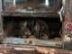1958 Pressed Bumper VW Panel Bus Sitting For 50 Years ~ Will It Run?