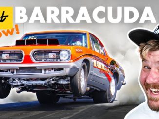 Barracuda ~ Everything You Need To Know