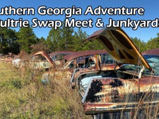 Georgia Rusty Gold - Moultrie Swap Meet and Junkyards