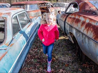 Daddy-Daughter Classic Car Junkyard Adventure