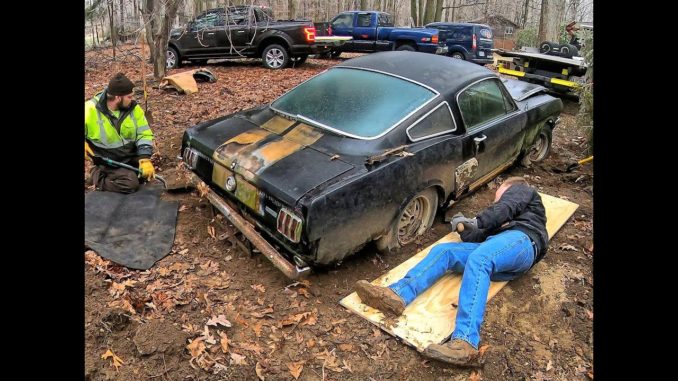 1966 Shelby Mustang GT350H Found in Ohio Backyard After 40 Years