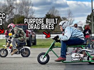 Drag Racing 5 of the Fastest Minibike Builds