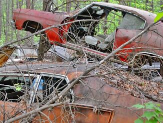 Junkyard Tour of Tellico Mountain Motors in East Tennessee